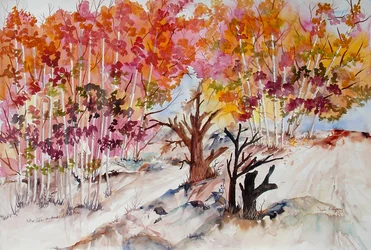 Cimes des arbres en automne